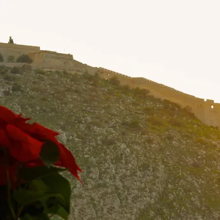 365nafplio 아파트