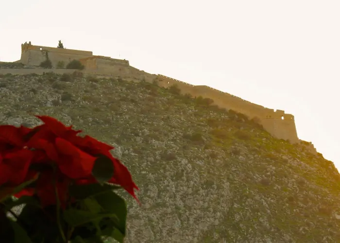 365nafplio Апартаменты